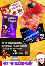 Newsletter Promoción Navidad DWG