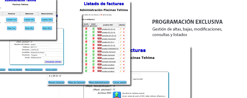 Desarrollo Web en Salamanca